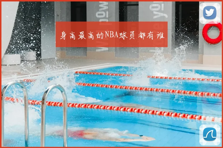 身高最高的NBA球员都有谁