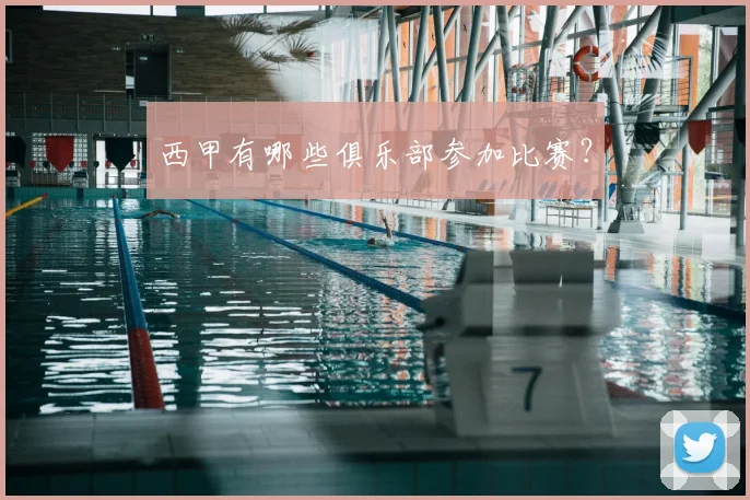 西甲有哪些俱乐部参加比赛？