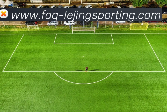 乐竞体育平台生态图